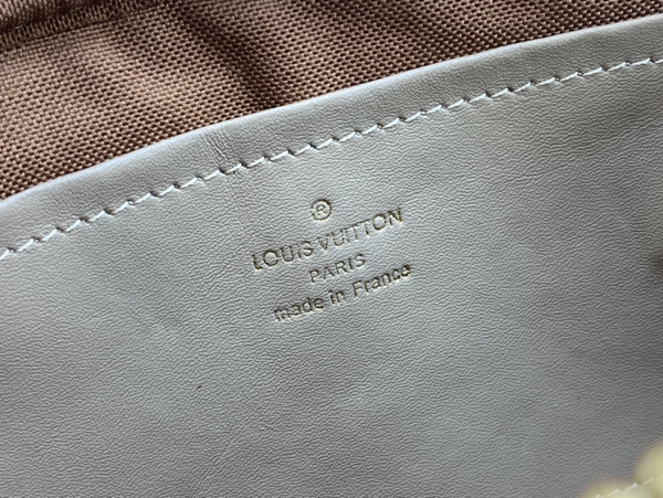 ルイヴィトンバッグ着用イメージ